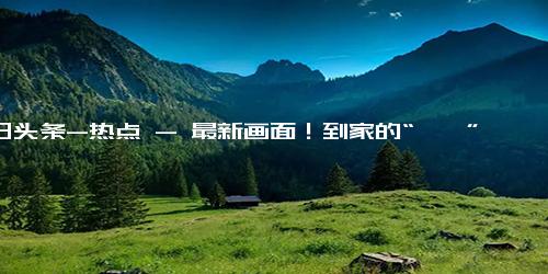 今日头条-热点 - 最新画面！到家的“丫丫”被竹子包围了......-佟丽娅-北京动物园